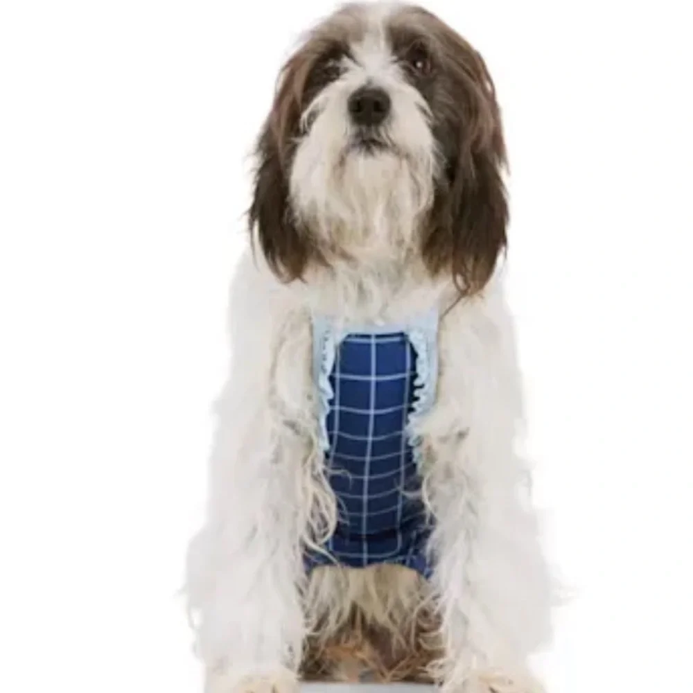 NWT Youly Blue Check Dog Swimsuit M